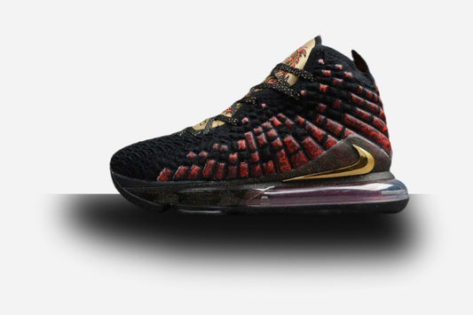 Nike LeBron 17 Courage