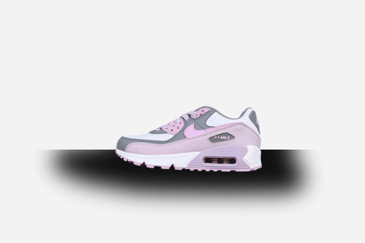 Air Max 90 Grey/White-Purple