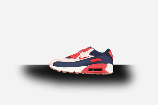 Air Max 90 PRM Blue White/Pink-Red