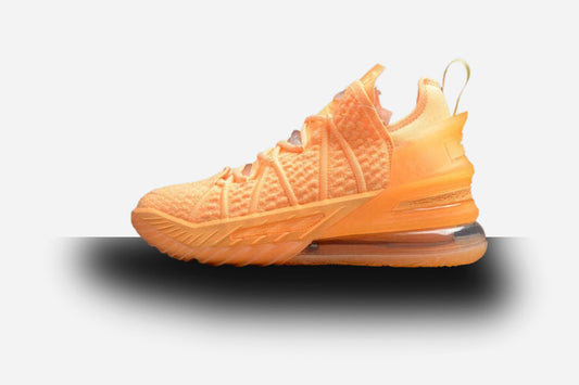 Nike LeBron 18 Sisterhood